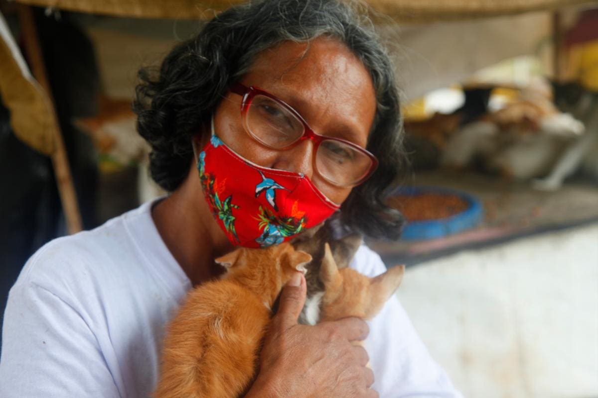 La esperanza de los gatos del puente de Los Caracoles