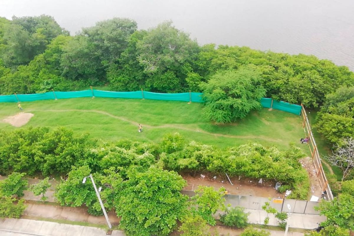 Construcciones sobre manglar en Cartagena se amparan sobre ley sin objeto
