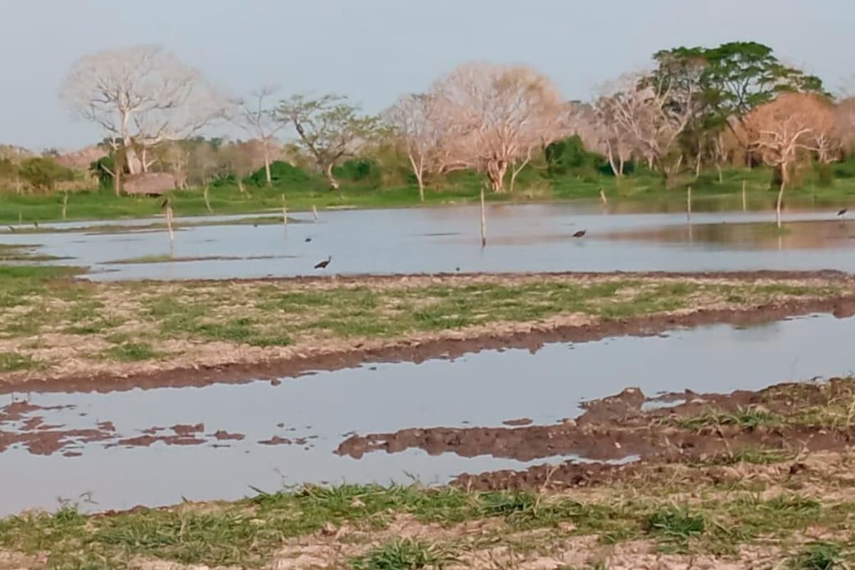 Hatillo de Loba, en espera de maquinarias para mitigar inundaciones