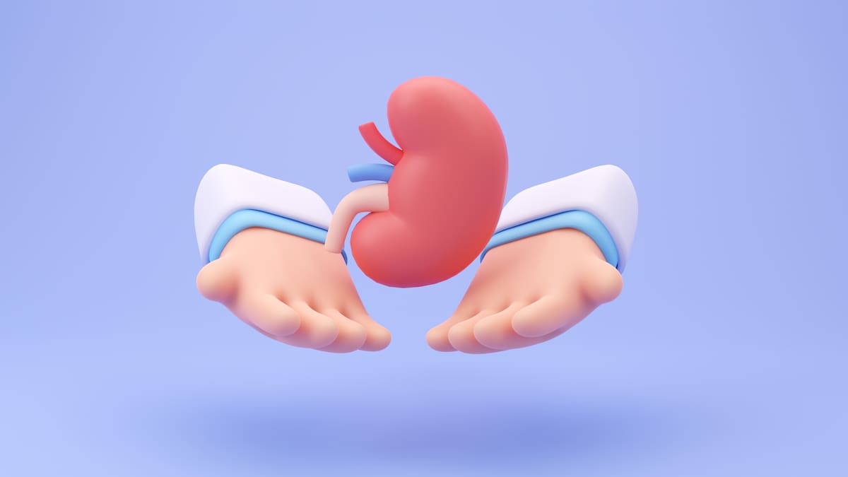 Ilustración de estomago. // 123RF