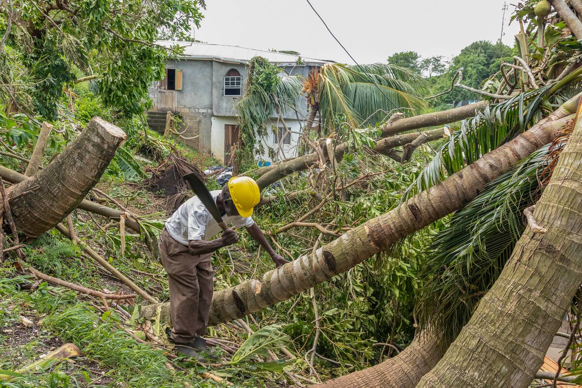 El pastor Winston Alleyne retira árboles que fueron derribados por el paso del huracán Beryl en Ottley Hall, en San Vicente y las Granadinas, el martes 2 de julio de 2024. //AP
