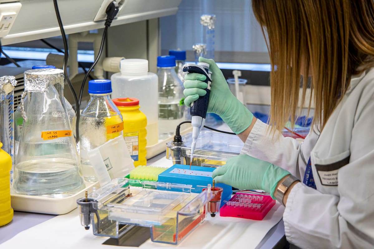 Avances médicos elevan al 70% la supervivencia al cáncer en EE. UU.