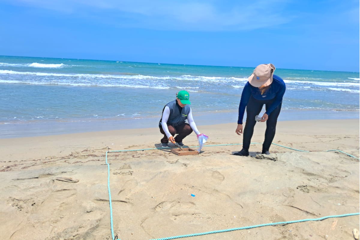 ¿Por qué evalúan la calidad del agua marina y costera del Atlántico?