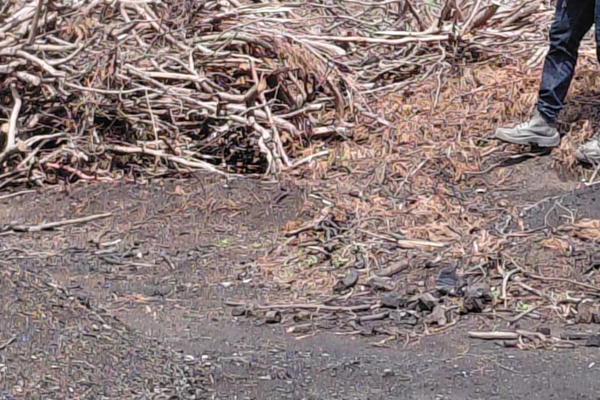 Capturan a 2 hombres señalados de contaminar zonas rurales por extraer carbón