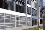 Ordenan reglamentar el ingreso de mascotas a los lugares de trabajo