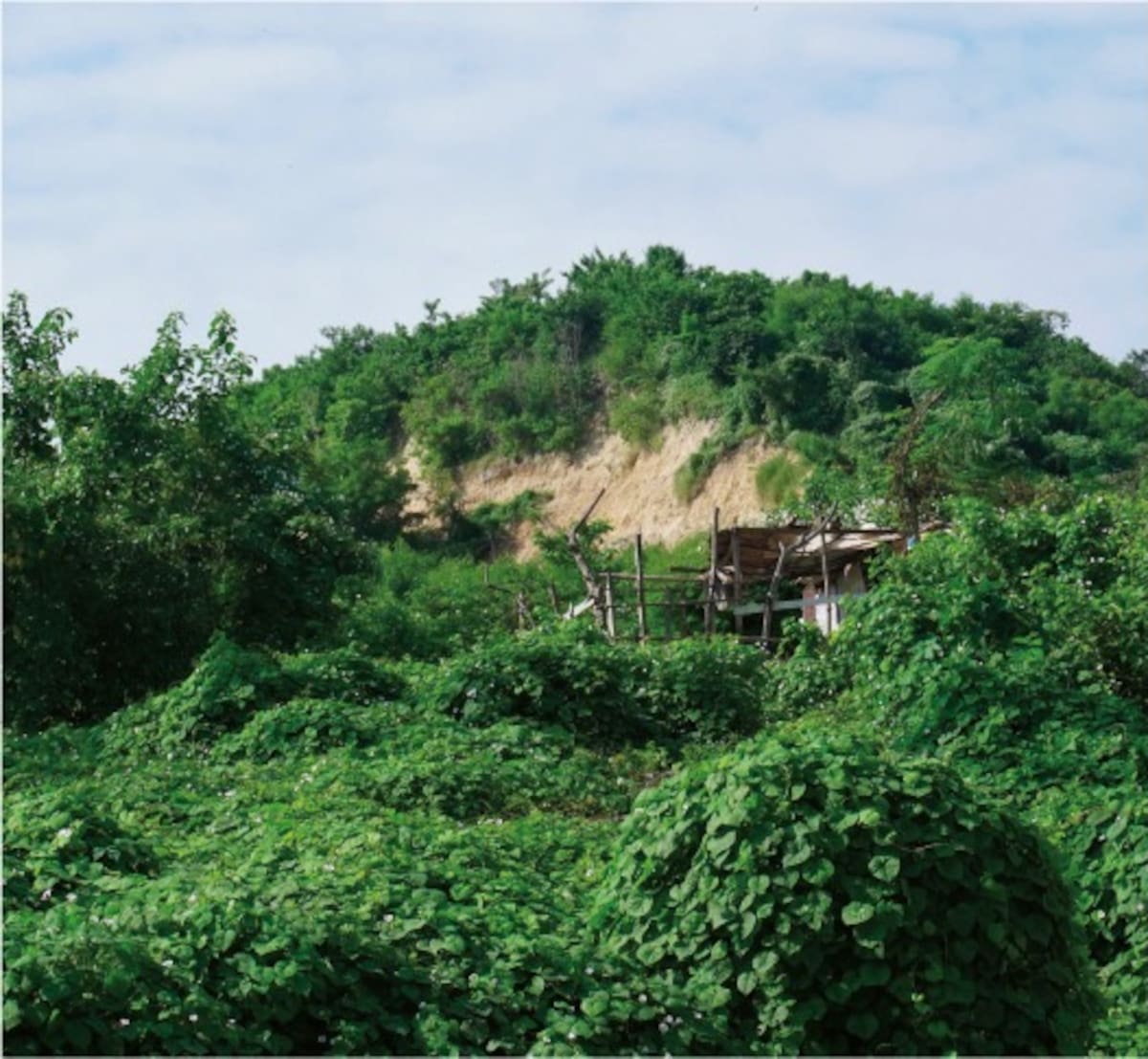 Falla geológica en San Francisco. // Foto: Cortesía