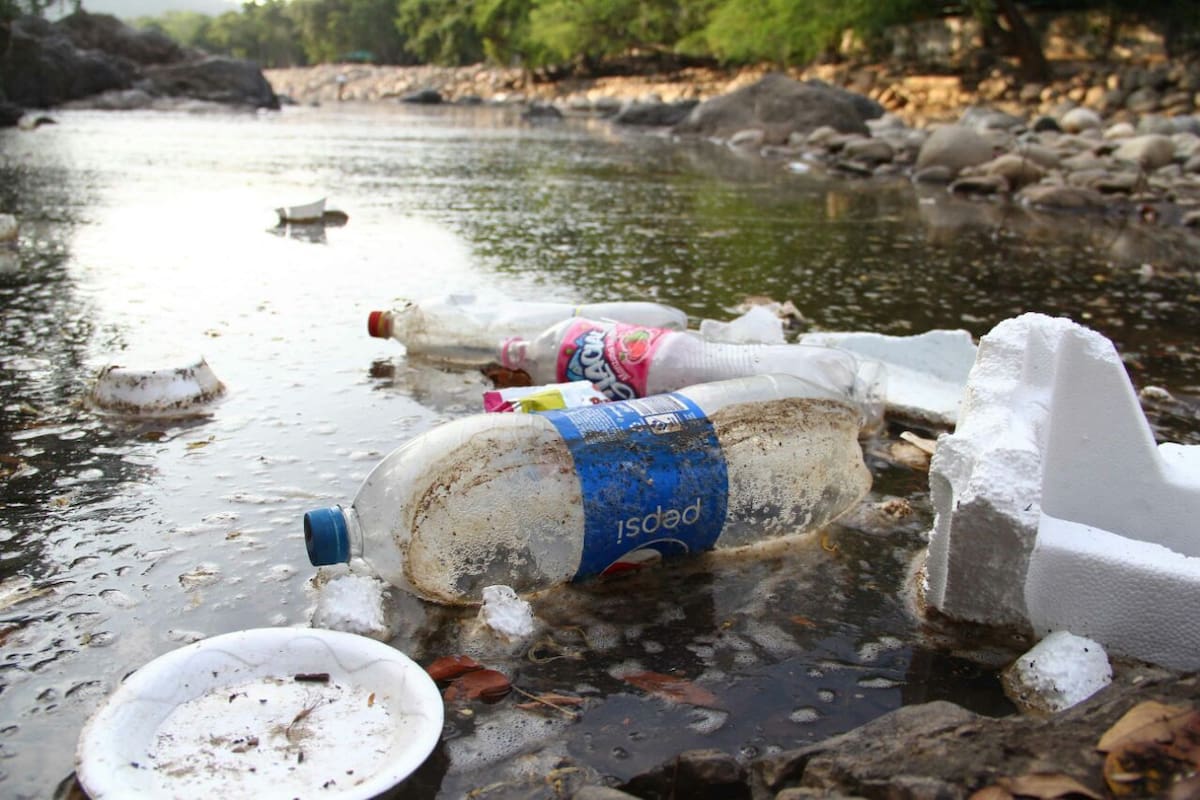 Procuraduría da 5 días a autoridades departamentales por deterioro del río Cesar