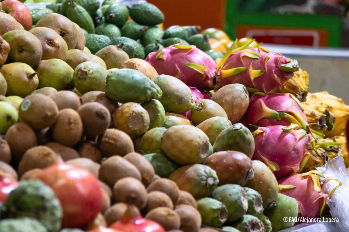 FAO y 18 países se dan cita en Cartagena por abastecimiento. // Foto: FAO - Alejandra Lopera