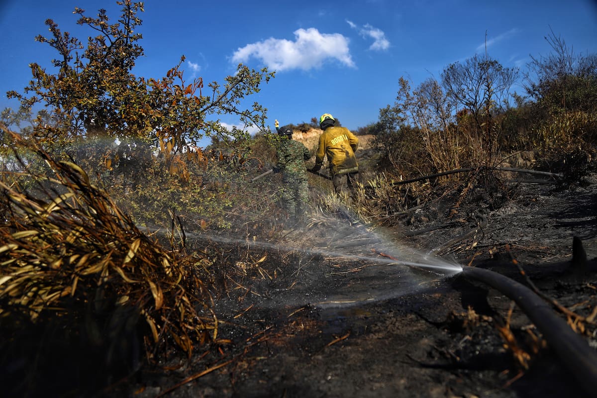 Fenómeno de El Niño en Colombia: piden plan de prevención ante riesgo de sequía