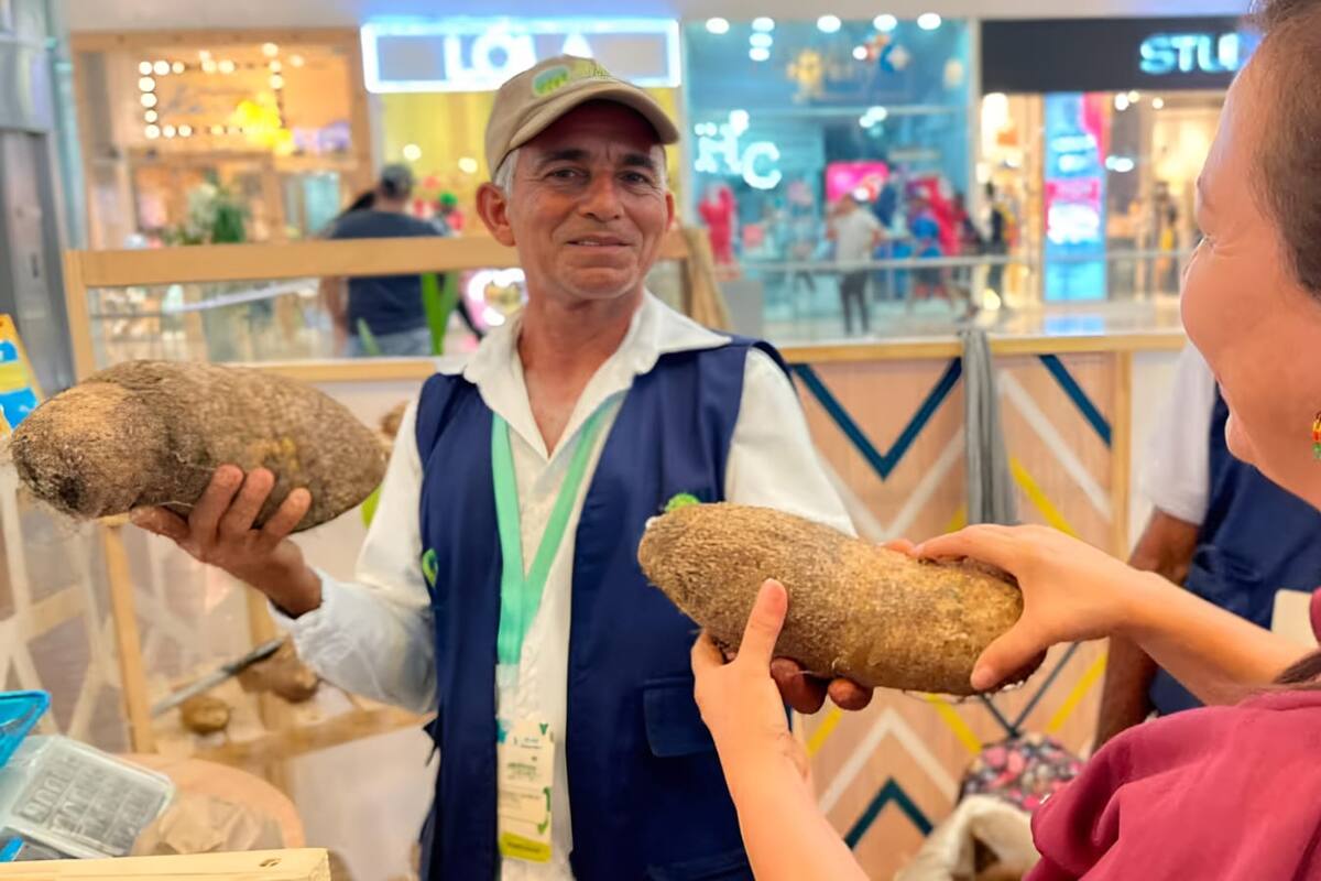 Feria de Negocios Verdes de Cardique 2024: 20 y 21 de septiembre en Caribe Plaza