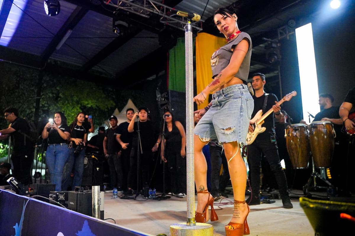 Ana del Castillo tuvo que parar su show en Aracataca por agresión a una fan, ¿que pasó?