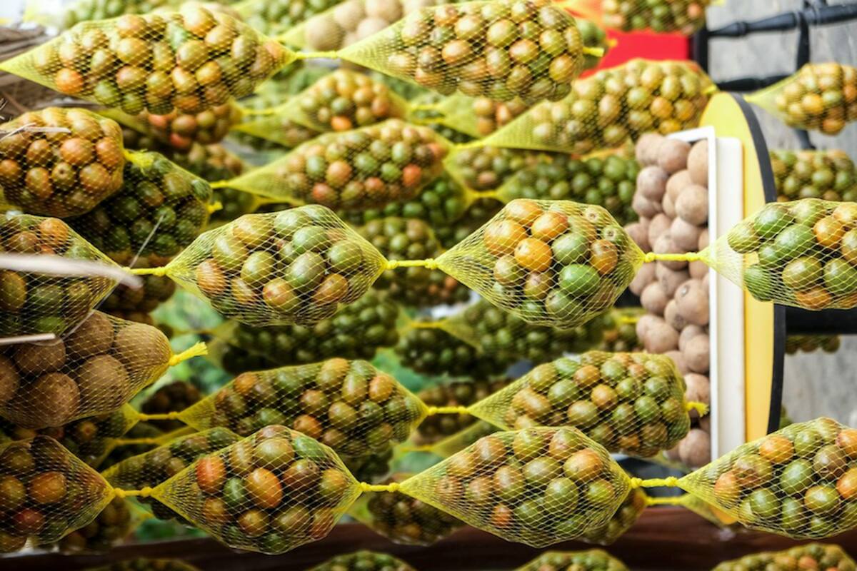 Los productos que se producen con la Ciruela los encontrarán en Campeche