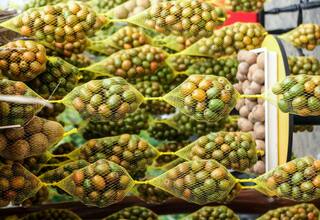 Los productos que se producen con la Ciruela los encontrarán en Campeche