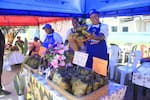 El tercer Festival del Pastel deleita a propios y visitantes en Arjona