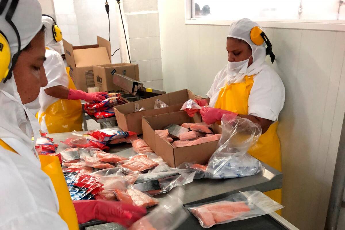Alianzas entre Colombia y Chile llegan al sector pesquero
