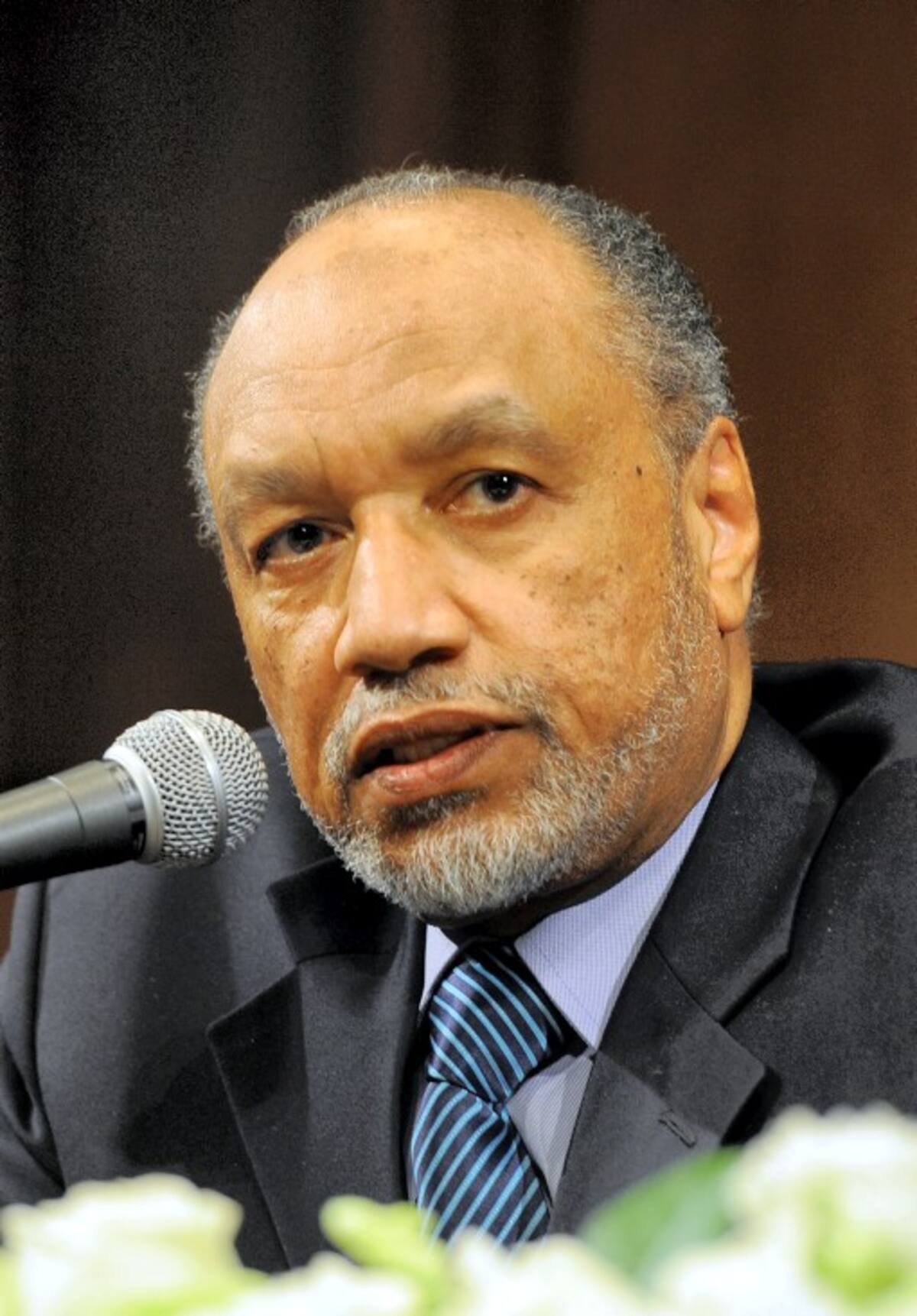 Mohamed Bin Hammam AFP JUNG YEON-JE