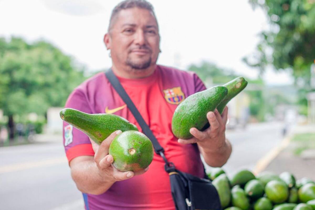 Adiós al ‘gota a gota’: Finagro crea alternativas de crédito de bajo monto