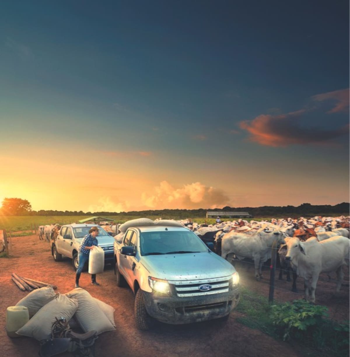 La Ford Ranger XL cuenta con un renovado frente que incluye luces delanteras anchas en forma de bumerán