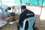 JEP recuperó 116 cuerpos en cementerio de Valledupar: 13 serían de interés para la investigación