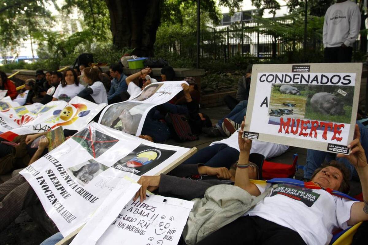 Colombia: el país más peligroso para líderes ambientales, según ONG