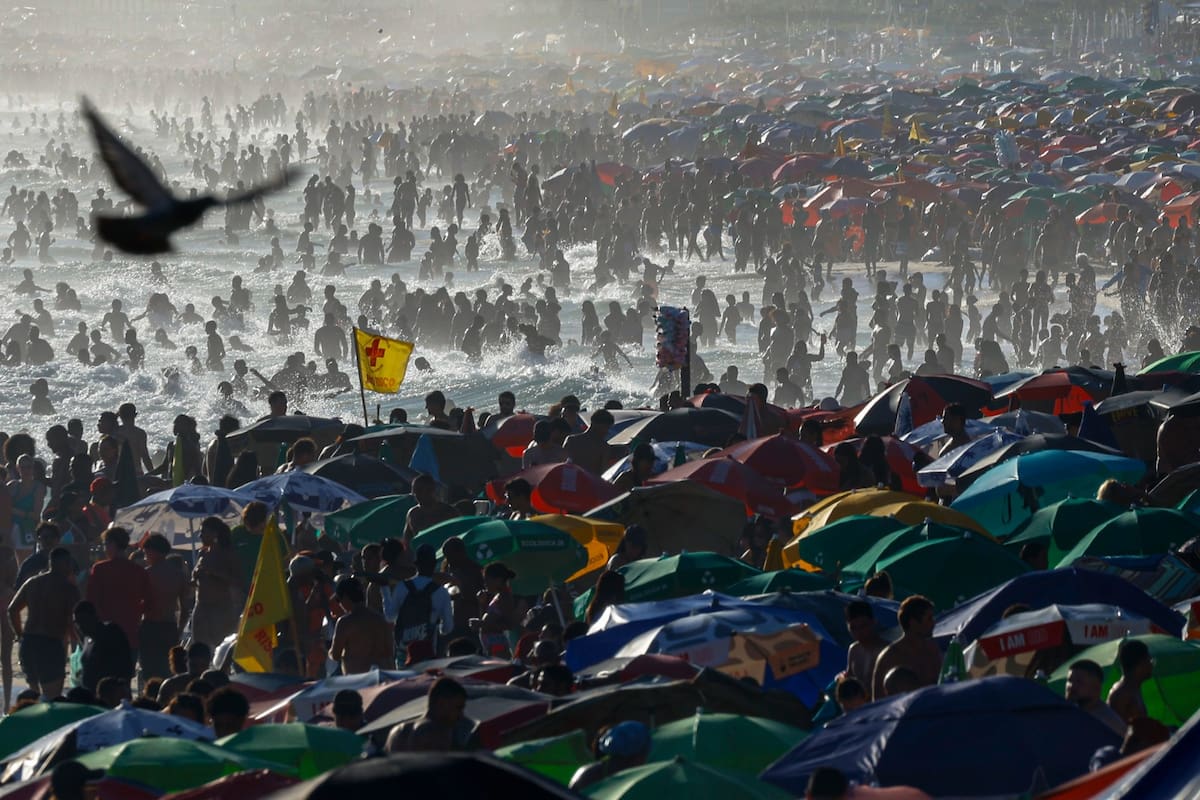 Foto del día: 12 de enero de 2026