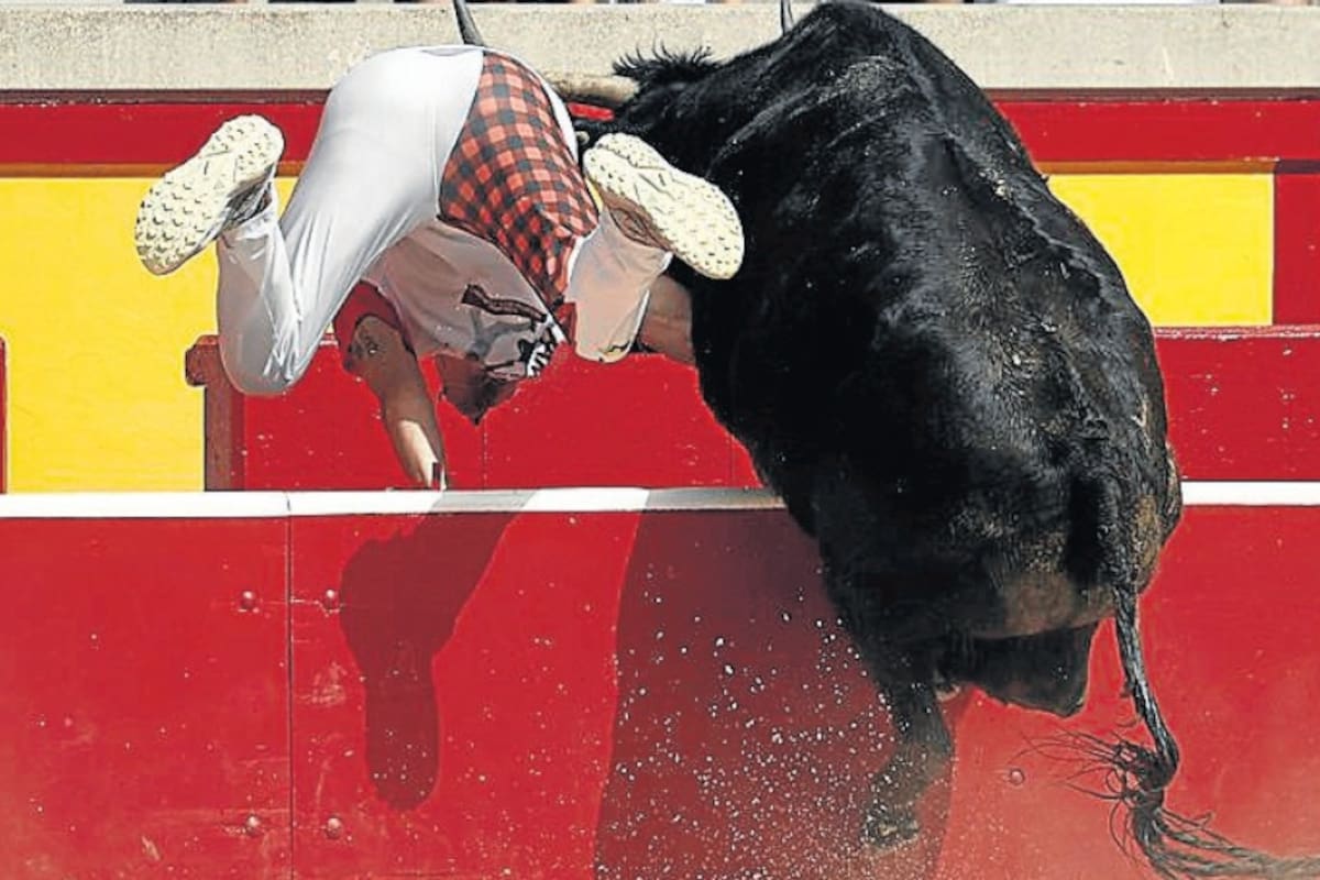 Foto del día del miércoles 15 de julio de 2026