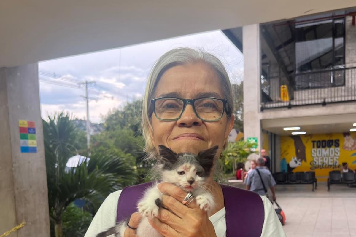 Hallan sin vida a conocida protectora de gatos: su hijo es el principal sospechoso