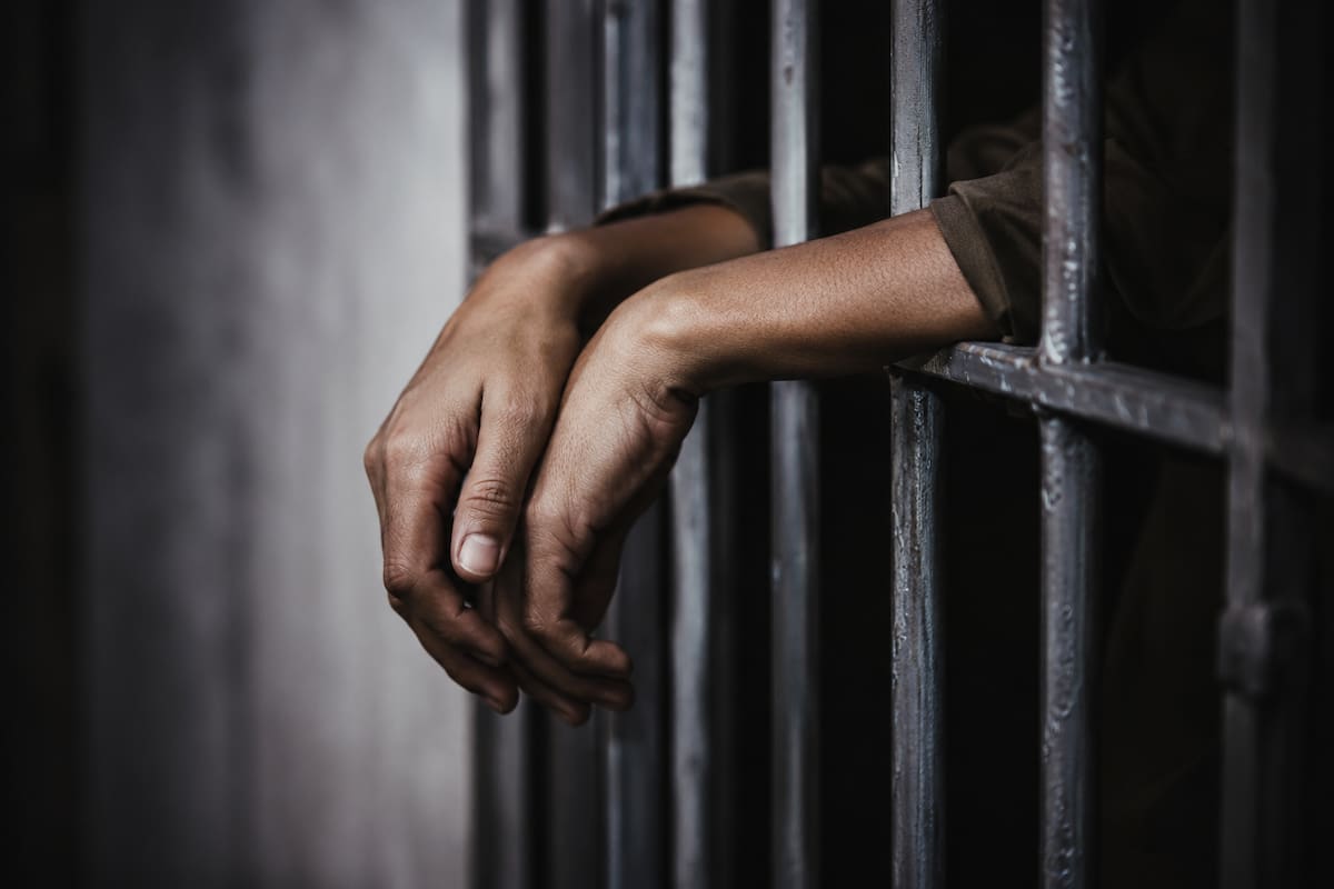 Liberan en Siria al cineasta Hassan Akkad tras cuatro días detenido