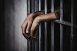 Liberan en Siria al cineasta Hassan Akkad tras cuatro días detenido