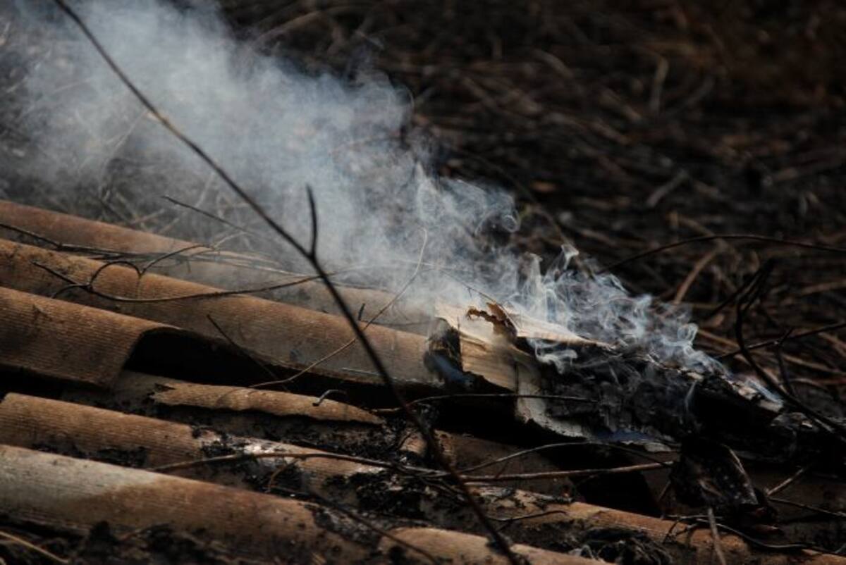 El incendio ya se encuentra controlado y se estima que varios manglares se vieron afectados por de la conflagración. Victor Hugo Mora Mendoza - El Universal