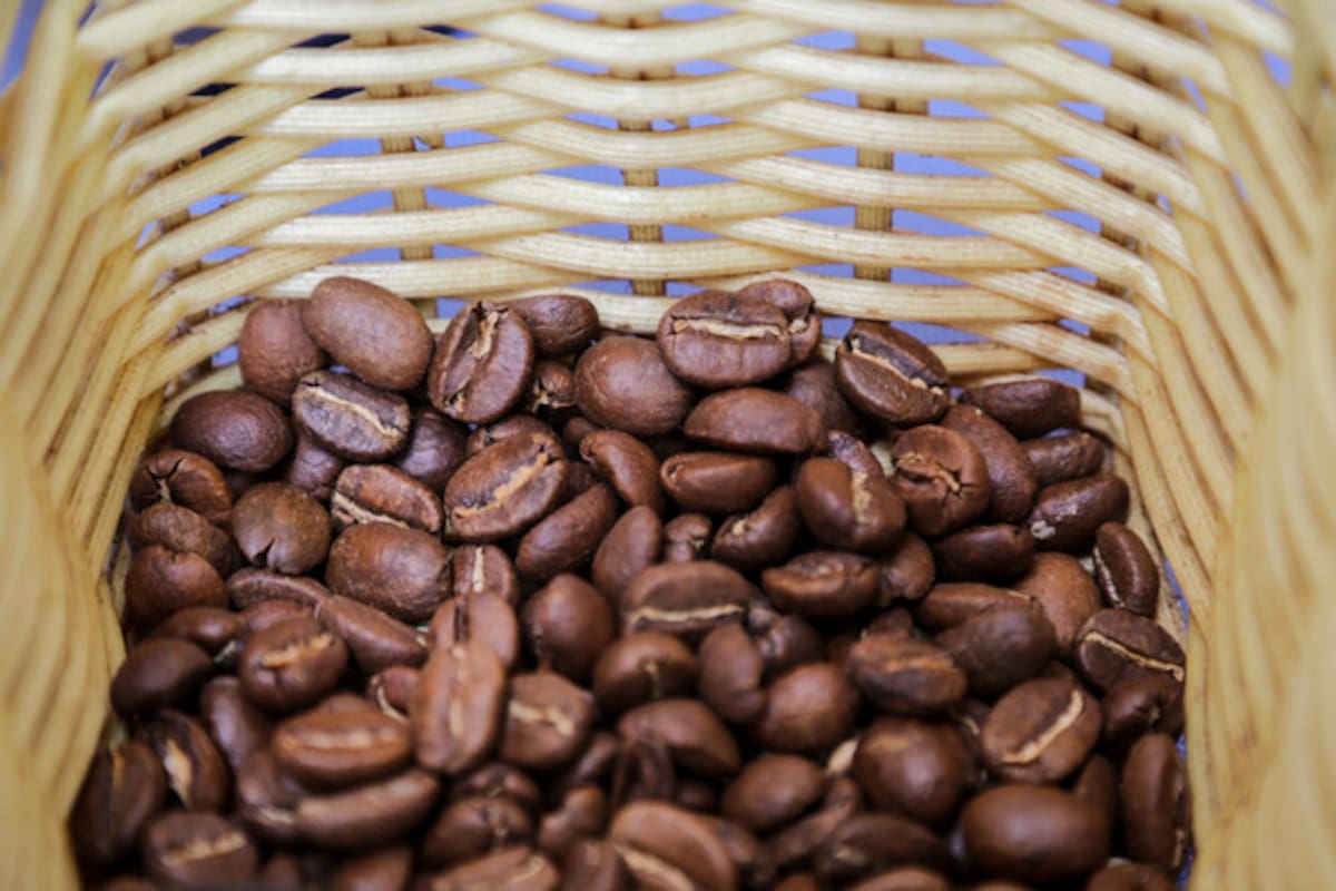 Cae la producción y exportación de café en Colombia: así está el panorama