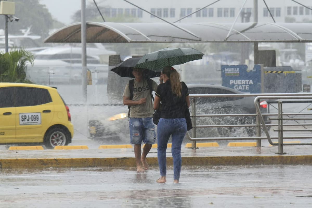 Fuerte aguacero en Cartagena: hay reportes de árboles caídos
