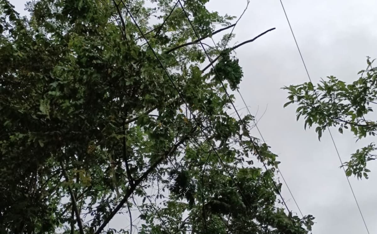 Fuertes lluvias en Cartagena dejan a varios sectores sin energía. // Foto: cortesía - Afinia