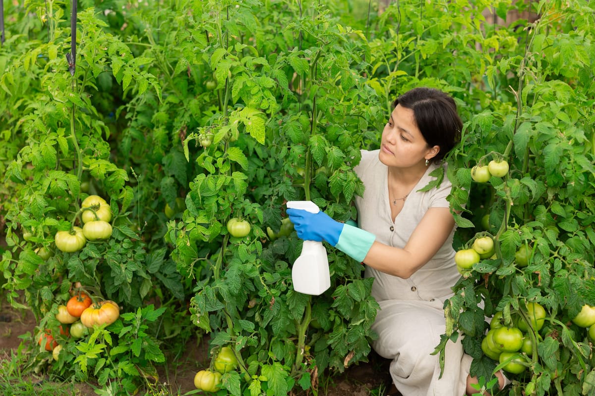 Alerta por pesticidas en frutas y verduras que se consumen en Colombia: esta es la lista 2026