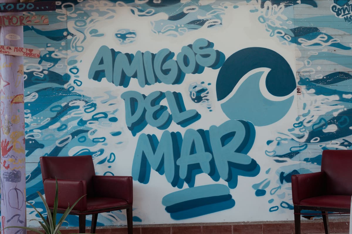 Amigos del Mar es una fundación sin ánimo de lucro. // Foto: cortesía