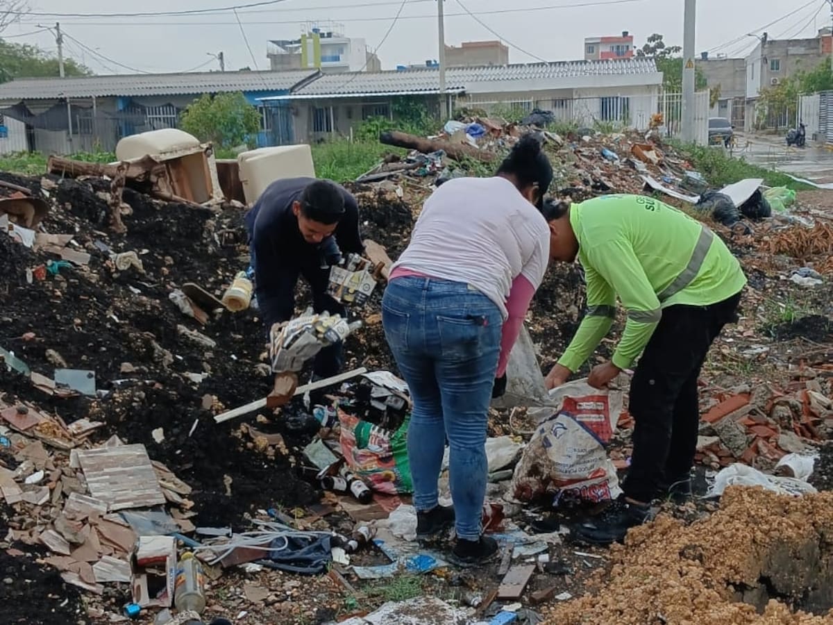 Uno de sus principales desafíos es asegurar la sostenibilidad económica de los programas que no generan ingresos directos. // Foto: cortesía - Fundación Sin Límites de la Costa