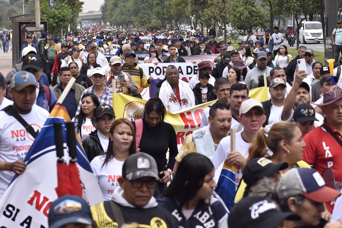 Galleros de Colombia no quieren que les “corten las espuelas”