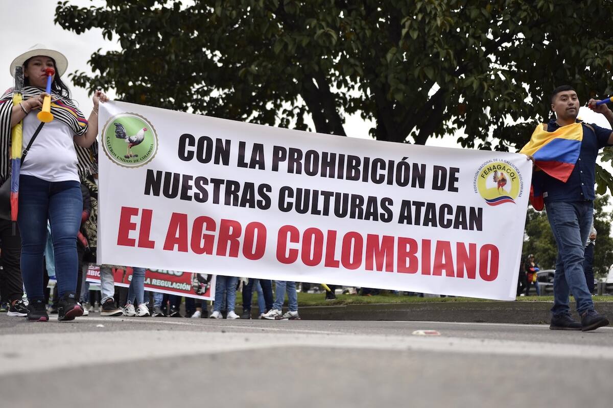 Los galleros de Colombia que marcharon este martes 8 de octubre en Bogotá, dicen que si suspende esta actividad se perjudica el agro colombiano.//Cortesía.