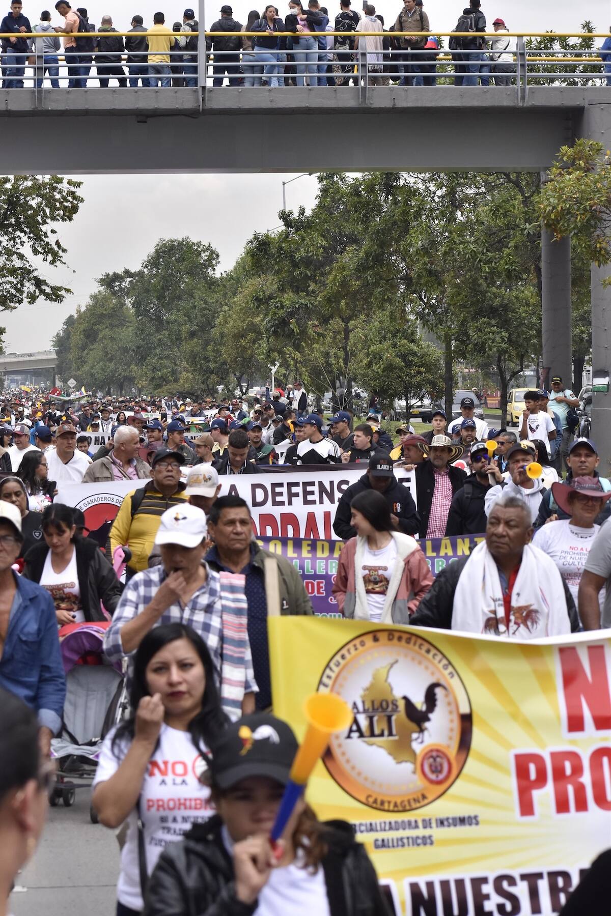 Los galleros, gremios asociados al coleo, las cabalgatas y la tauromaquia de Colombia marcharon este martes 8 de octubre para pedir por una regulación a estas actividades sin que se amenace su continuidad.//Cortesía.