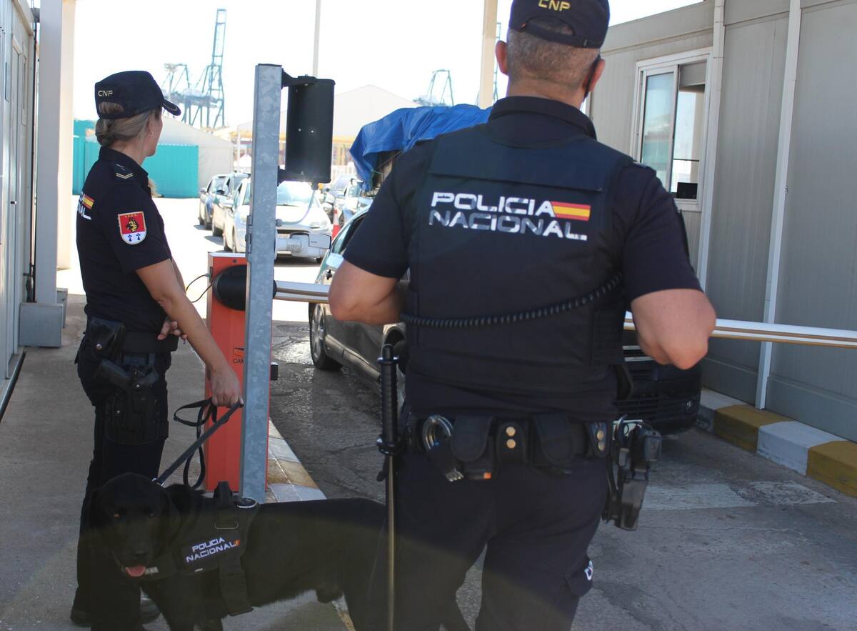 Se dio con la captura de tres personas y dos armas confiscadas. Policía Nacional de España/ VANGUARDIA
