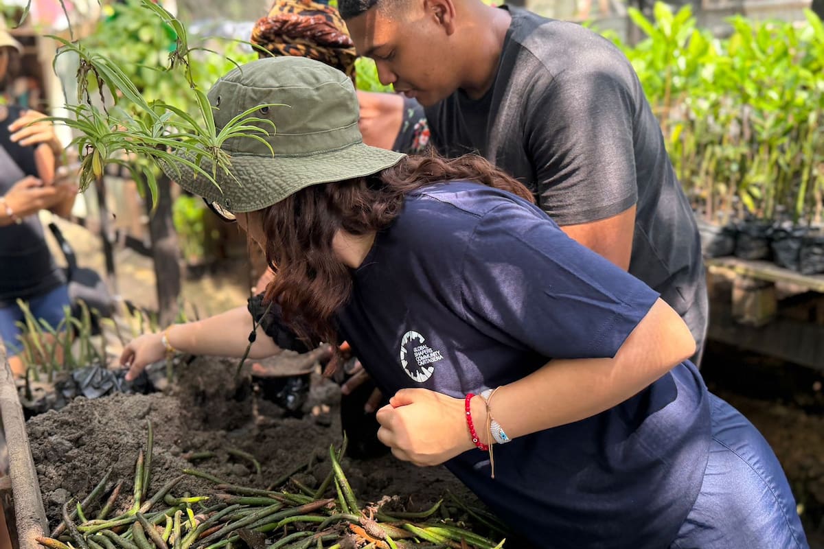 Limpieza y rescate de mangles: la doble jornada de Global Shapers en La Boquilla