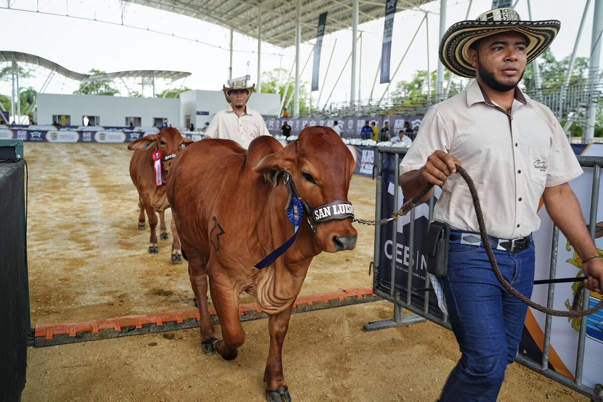 Gobernador de Bolívar Inaugura Agro Bolívar 2024 y Centro de Exposiciones Agropecuarias en Arjona. // Cortesía