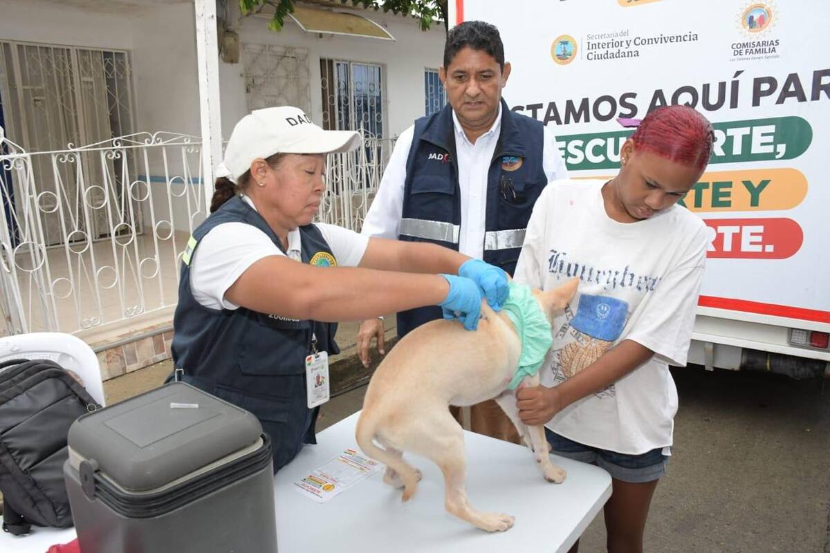 En esta jornada de Gobierno al Barrio también ofrecieron vacunación antirrábica en caninos y felinos. // Cortesía: Alcaldía de Cartagena.