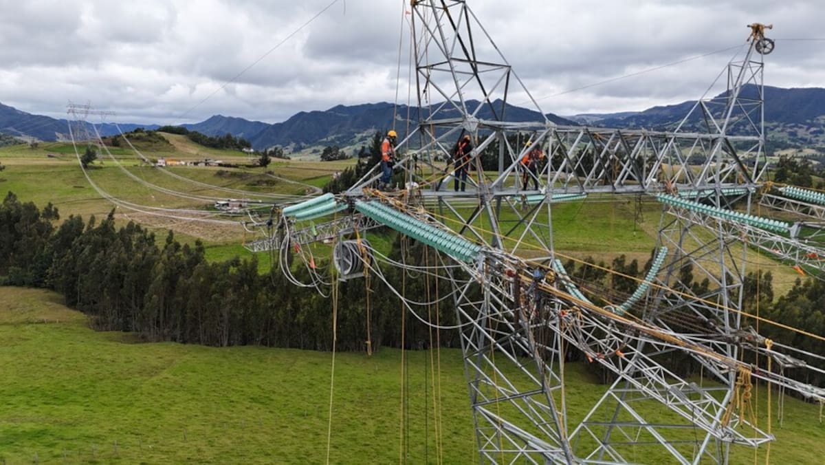 Gobierno da luz verde a ocho proyectos de transmisión de energía - Cortesía Ministerio de Ambiente.