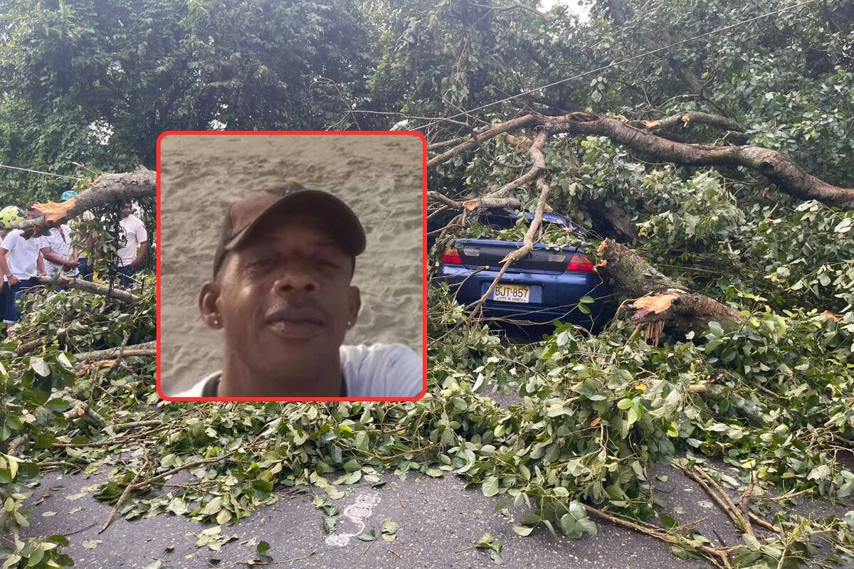Así murió Chalo Gómez: árbol cayó en su auto y al salir pisó un cable
