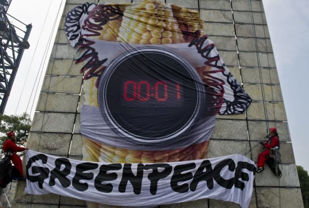 Los activistassubieron la Estela y colocaron una pancarta de rechazo. AFP