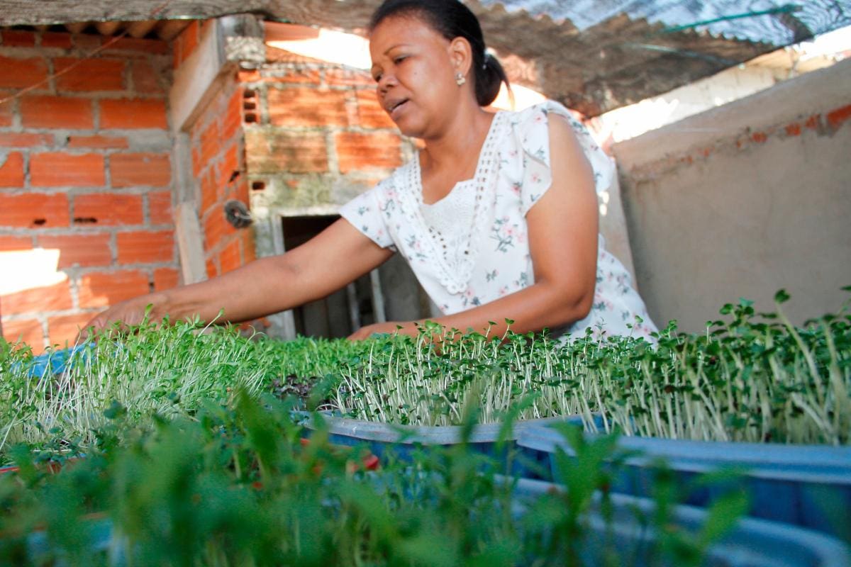 Gregoria, la mujer que encontró en su patio una forma de combatir el hambre