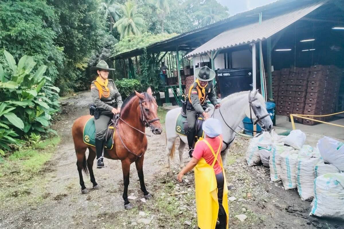 Grupo de carabineros de la Policía de Bolívar, de frente contra el abigeato