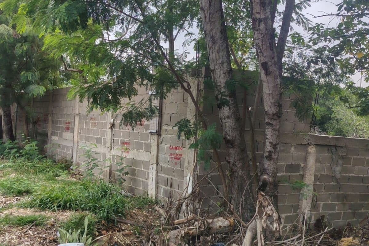 Operativo interinstitucional en Cartagena recupera manglar invadido y rellenado ilegalmente en La Boquilla