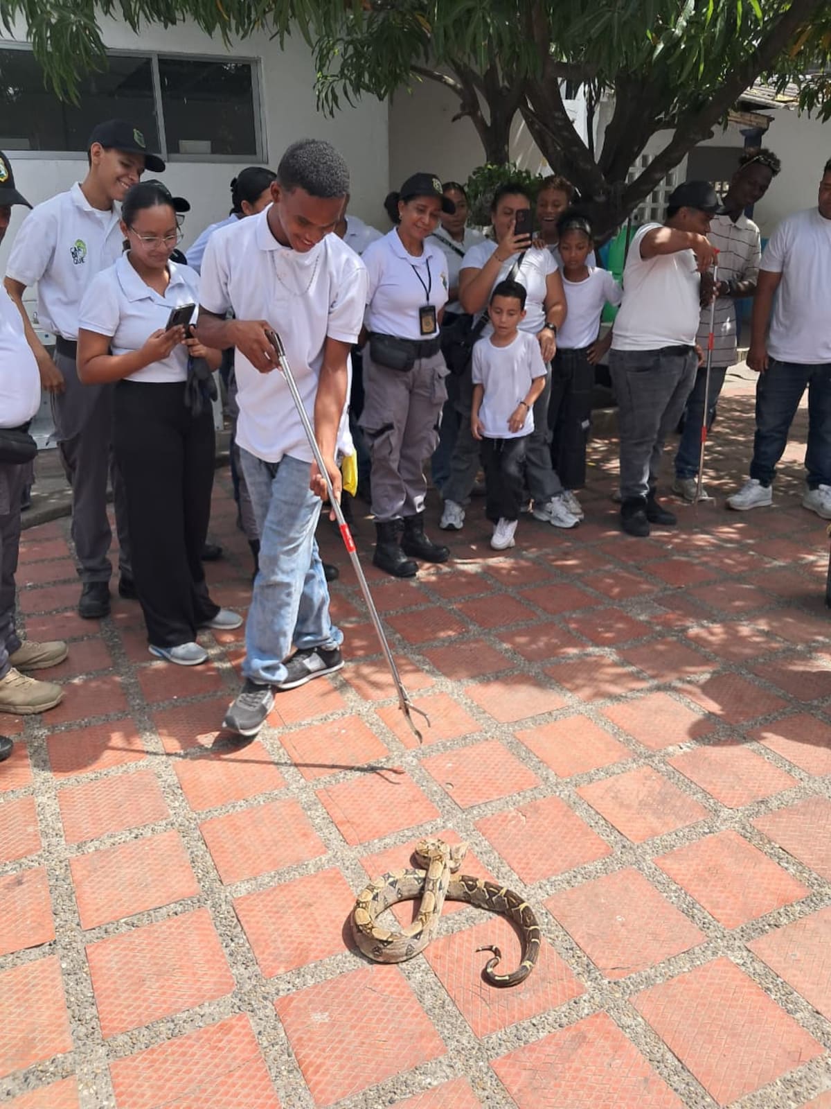 Los aspirantes a guardias ambientales son estudiantes de secundaria en etapa del Servicio Social de diferentes instituciones educativas, adultos voluntarios y estudiantes del SENA que se encuentran realizarán su etapa de pasantías. // Foto: Cortesía - Guardia Ambiental Colombiana.